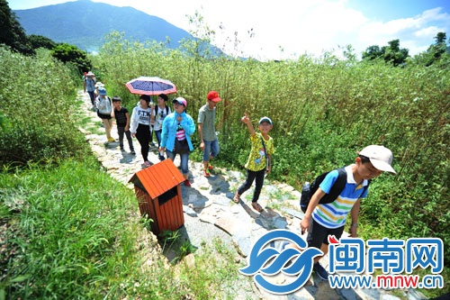 踏青石板上，游走美丽乡村，小记者流连忘返