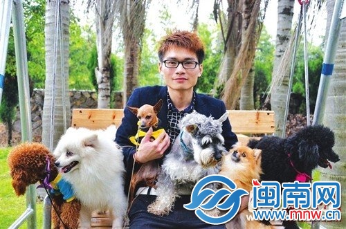 这些可爱的狗狗全部被偷了