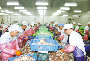 东山口岸运销台湾水产品大增