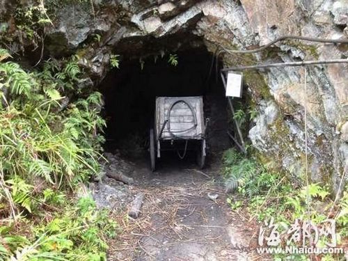 黑煤窑洞外植被茂盛，不易发现
