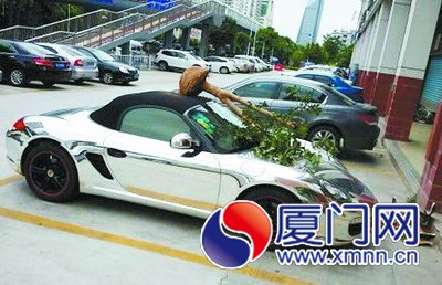 盆栽树横在保时捷车上