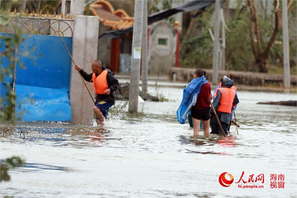 海南文昌市的罗豆农场是重灾区