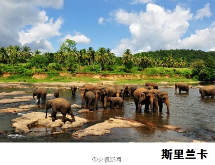 对中国公民实施免签、落地签的49个国家3