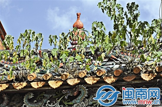 花桥宫屋顶长满小树，根须渗入瓦砾