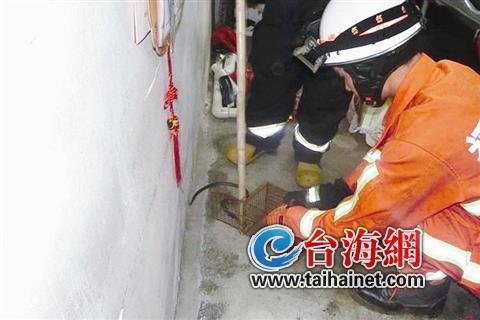 毒蛇“突袭”理发店