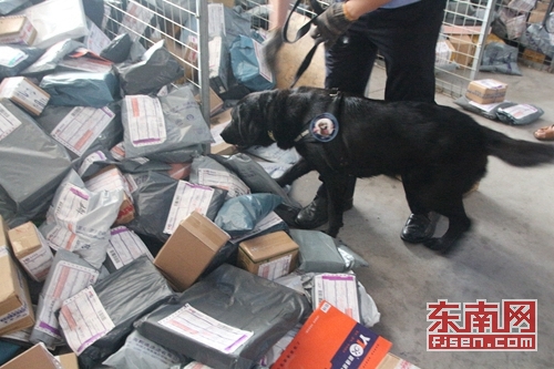 搜爆犬对寄递业进行检查