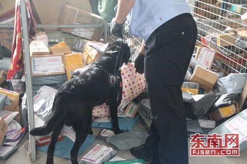 搜爆犬对寄递业进行检查