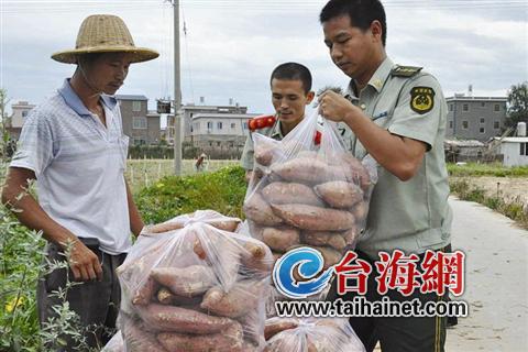 漳州：昨日29条客运线路停运2