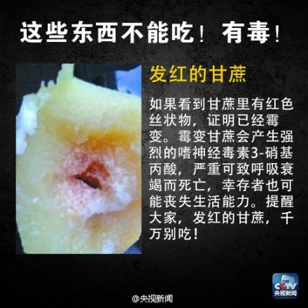 有毒食物黑名单