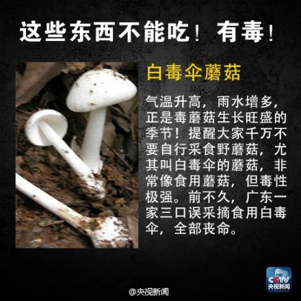 有毒食物黑名单2