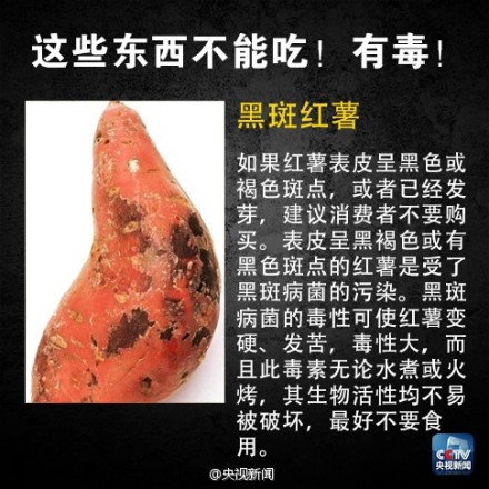 有毒食物黑名单4