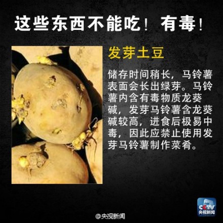 有毒食物黑名单5