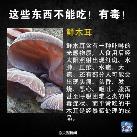 有毒食物黑名单8