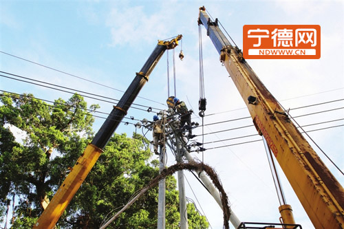 货车不慎撞断电杆 宁德供电公司紧急抢修恢复送电