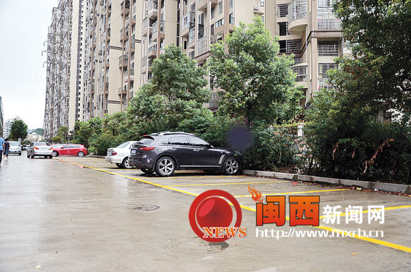 停车乱象有所改善 管理成本高运营困难