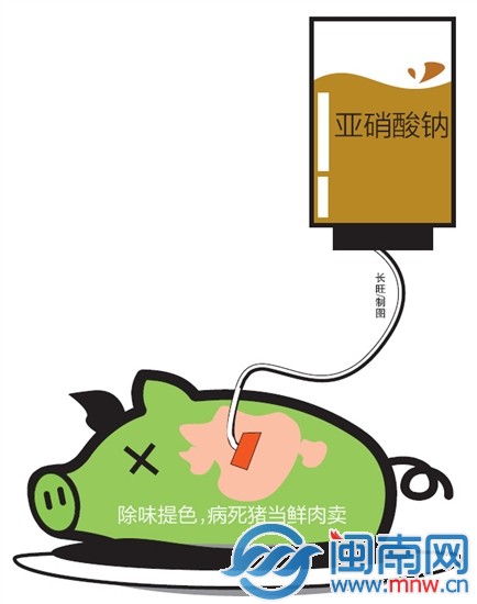 病死猪肉加“料”除味提色